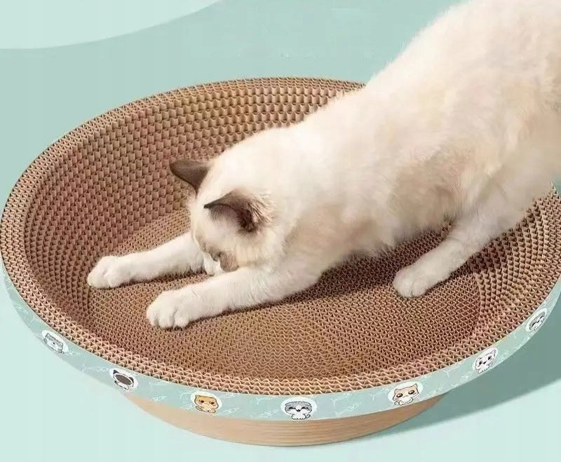 145dbbed71db1de5693cc457c4f58caf 145dbbed71db1de5693cc457c4f58caf